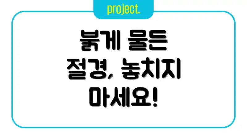 붉게 물든 절경, 놓치지 마세요!