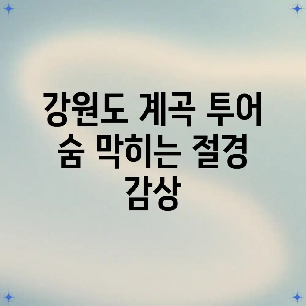 강원도 계곡 투어, 숨 막히는 절경 감상