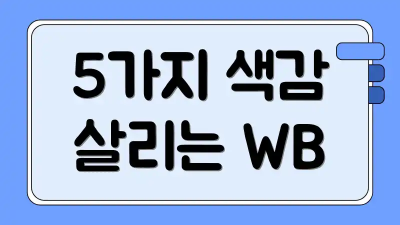 5가지 색감 살리는 WB