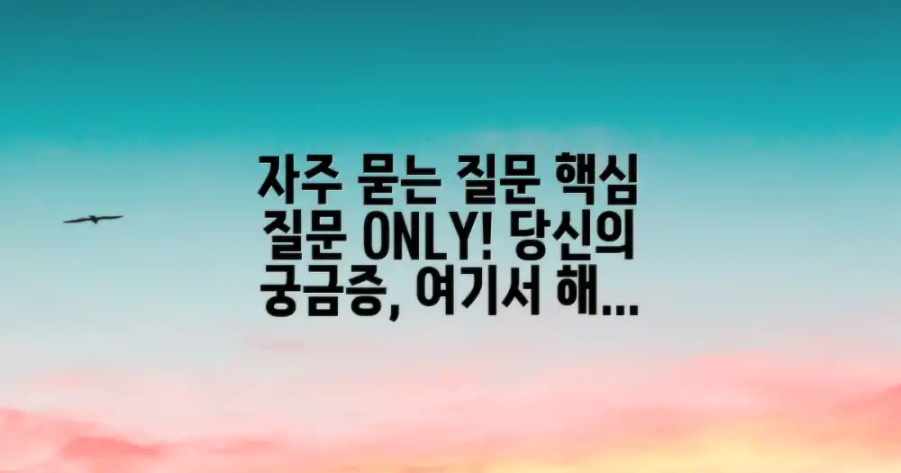 자주 묻는 질문