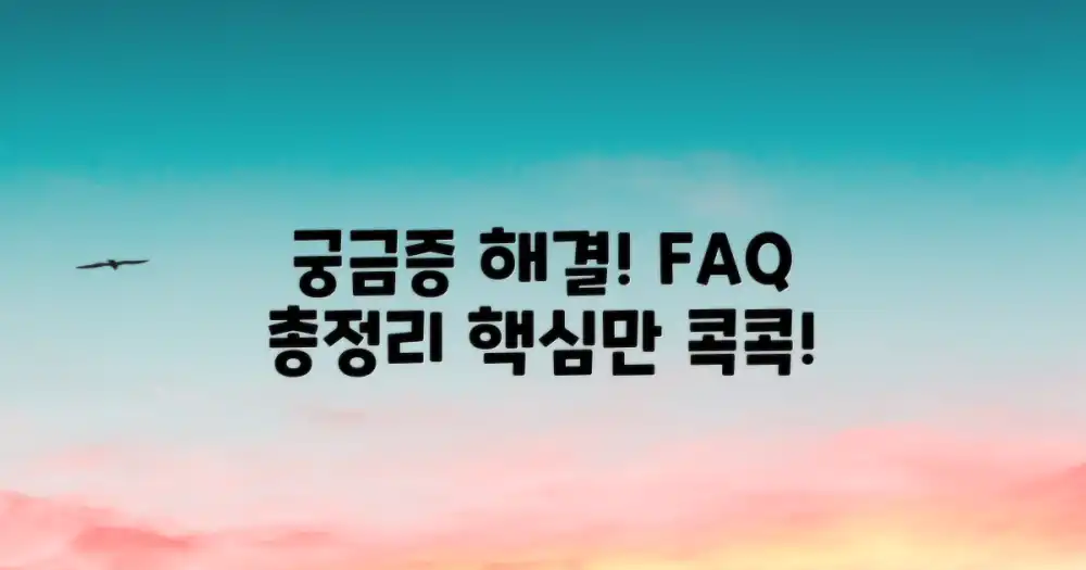 자주 묻는 질문
