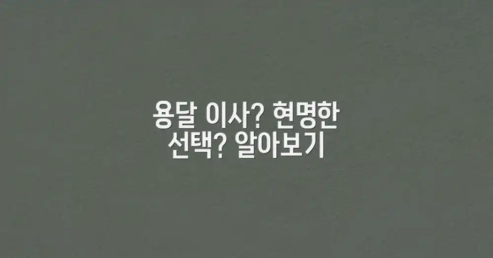 용달 이사, 합리적인 선택일까?