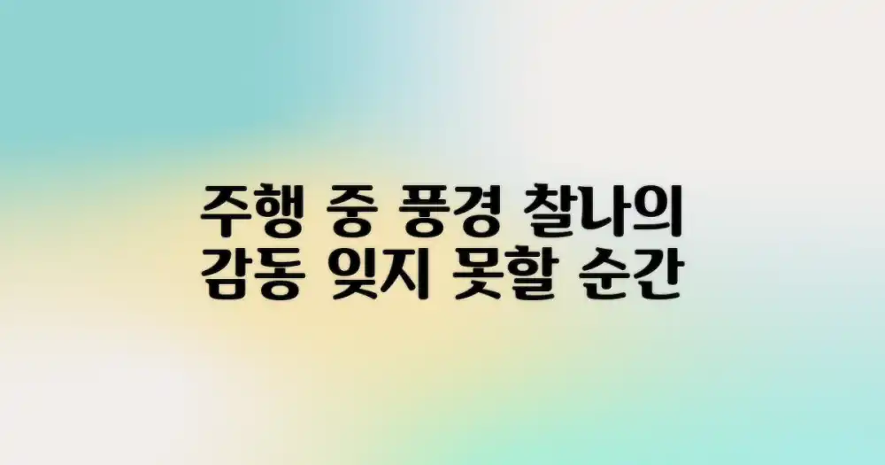 주행 중 만난 풍경들