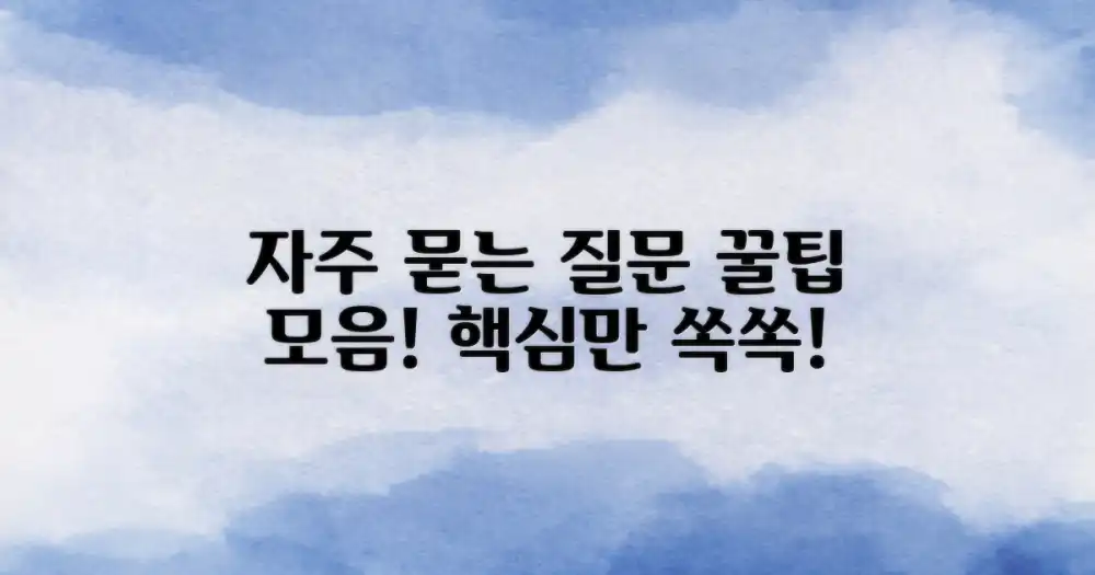 자주 묻는 질문