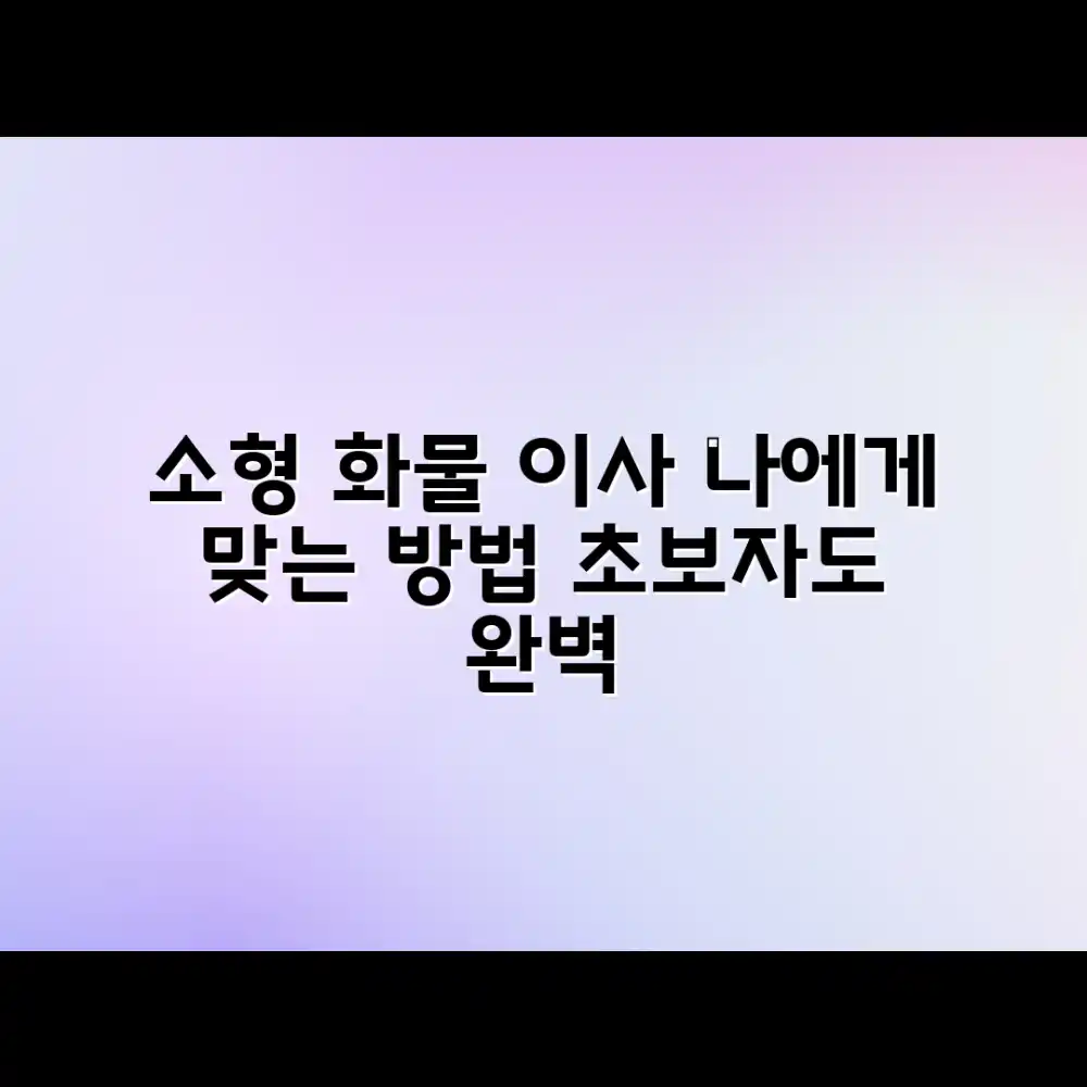 초보자도 쉽고 완벽하게! 소형 화물이사 나에게 맞는 방법 찾기