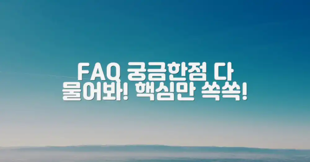 자주 묻는 질문