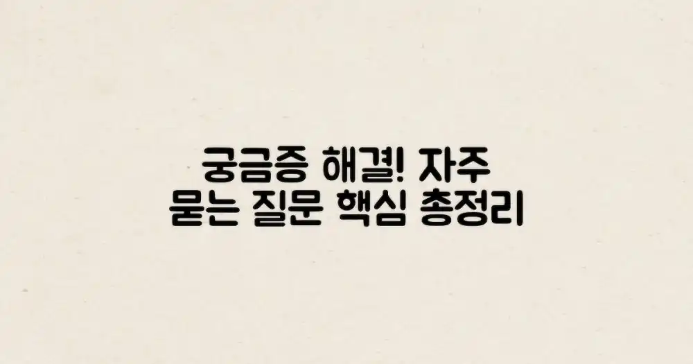 자주 묻는 질문