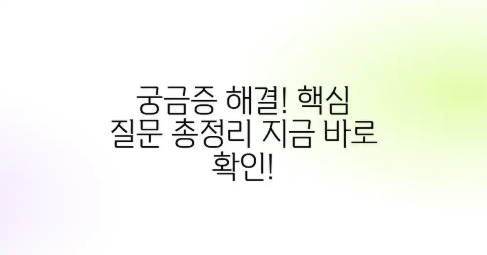 자주 묻는 질문