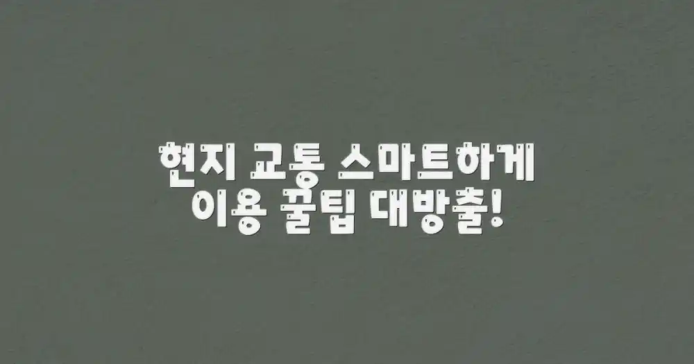 현지 교통, 스마트하게 이용법?