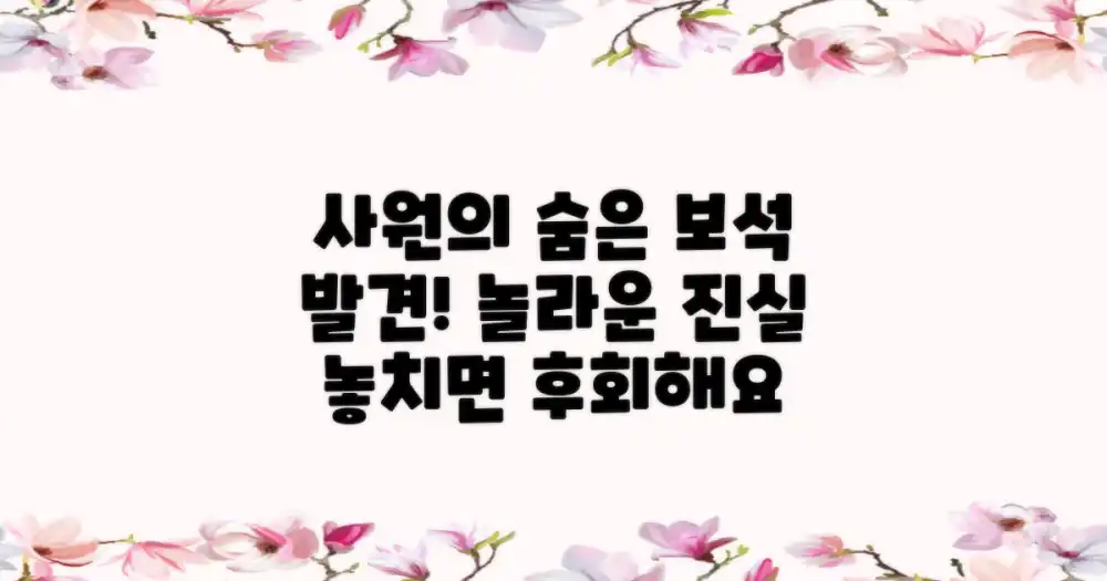이 사원의 숨은 보석 찾기