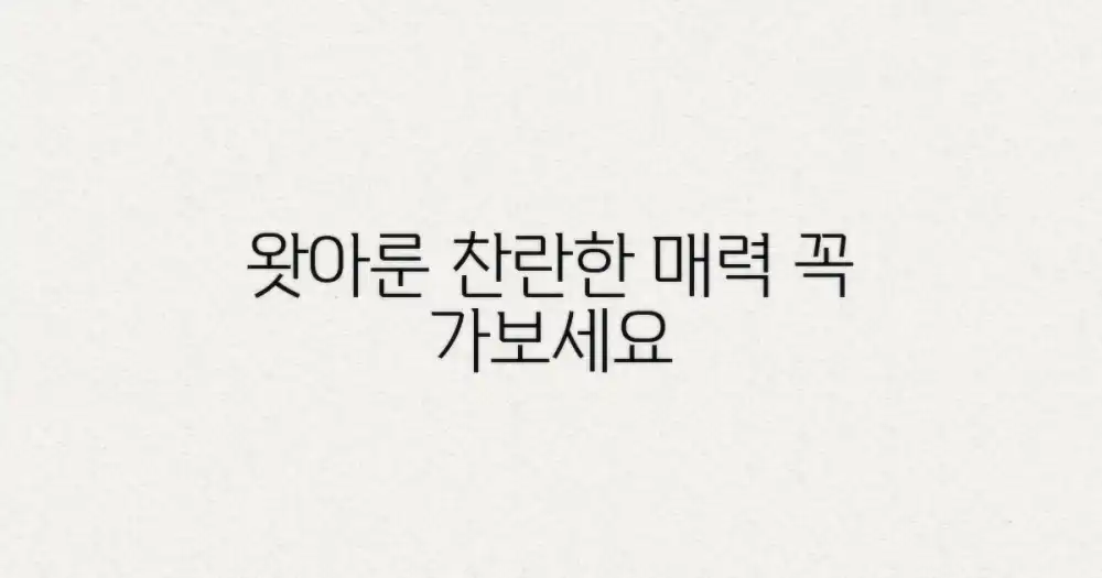 왓아룬의 찬란한 매력