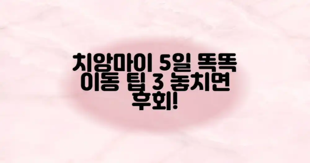 5일 치앙마이 여행, 똑똑한 이동 팁 3가지