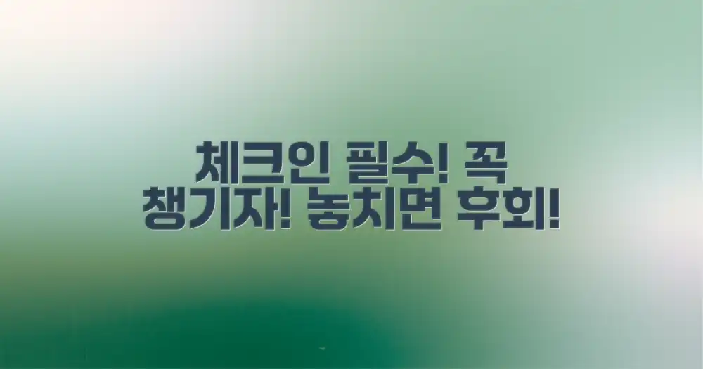 체크인 전 필수 준비물