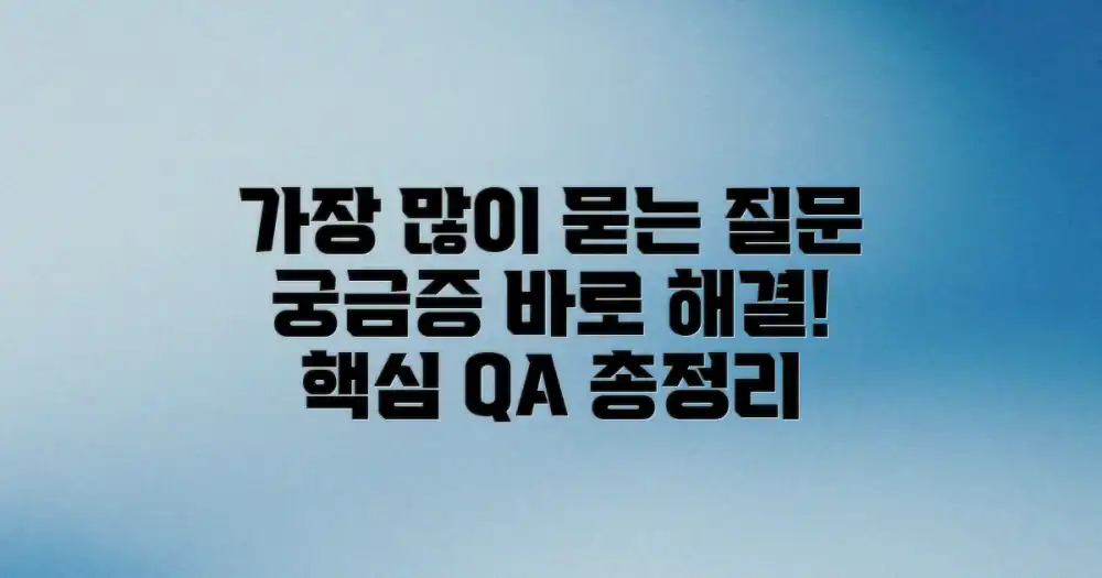 자주 묻는 질문