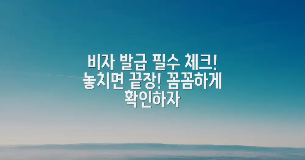 비자 발급 전 반드시 확인해야 할 사항