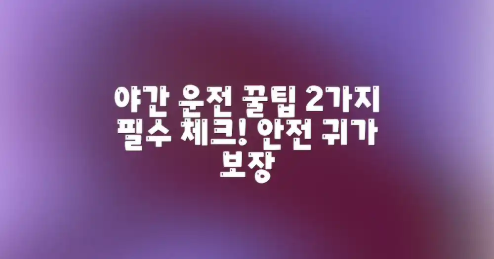 2가지 야간 운전 주의사항