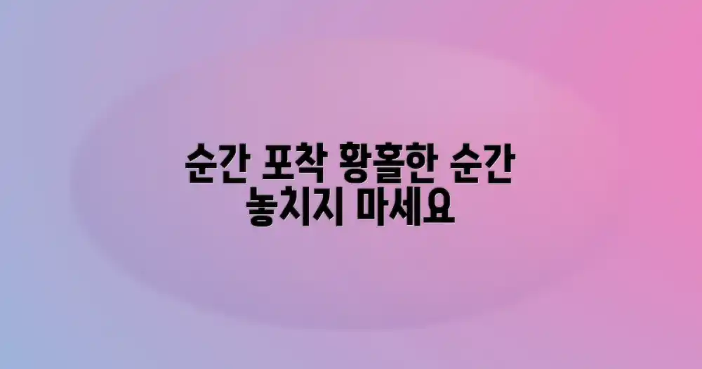 최고의 순간을 포착하세요