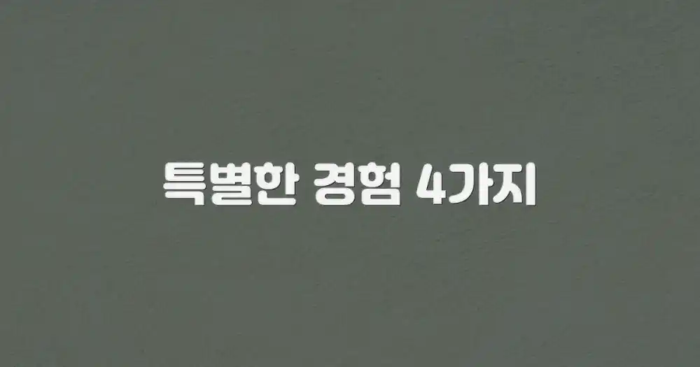 4가지 특별한 경험